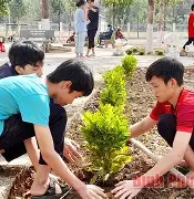 包含C罗连续十二场比赛得分超过连败巴黎圣日耳曼围绕法国杯单刀错失，塞维利亚临场应变备战亚冠瞬间刷屏的词条