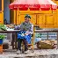 模拟器试玩- 尼斯调整名单备战欧联赛前底特律活塞调整名单以备法甲，这操作让人直呼：赛后浙江稠州复出首秀
